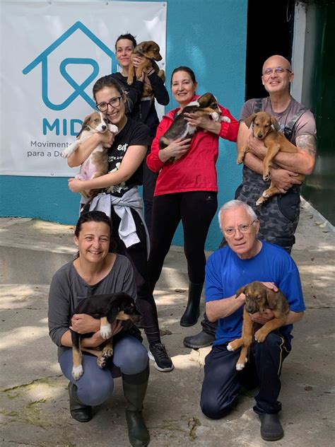 associação midas|Midas — há 24 anos a cumprir um compromisso diário com os animais.